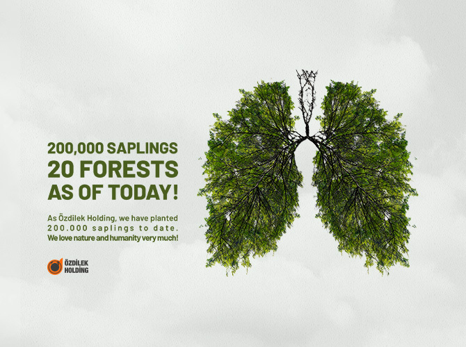 200 THOUSAND SAPLINGS AND 20 FORESTS